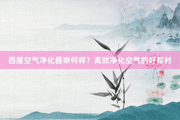 西屋空气净化器奈何样？高效净化空气的好帮衬
